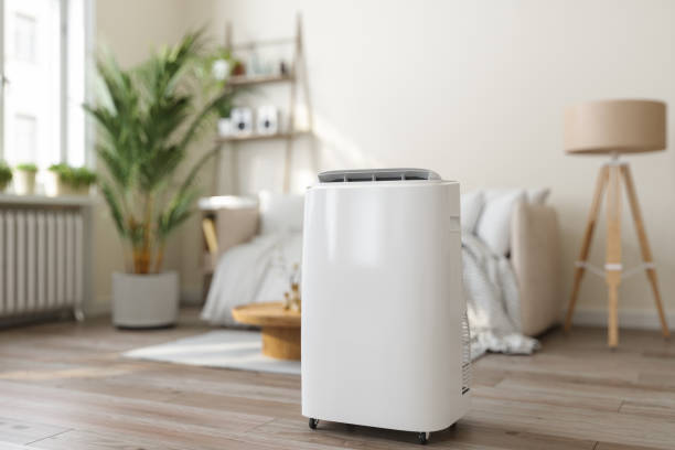 Best VRF (Variable Refrigerant Flow) Systems in Malibu, CA